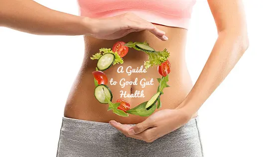 aguidetogoodguthealt 02 04 2018 12 19 09 pm