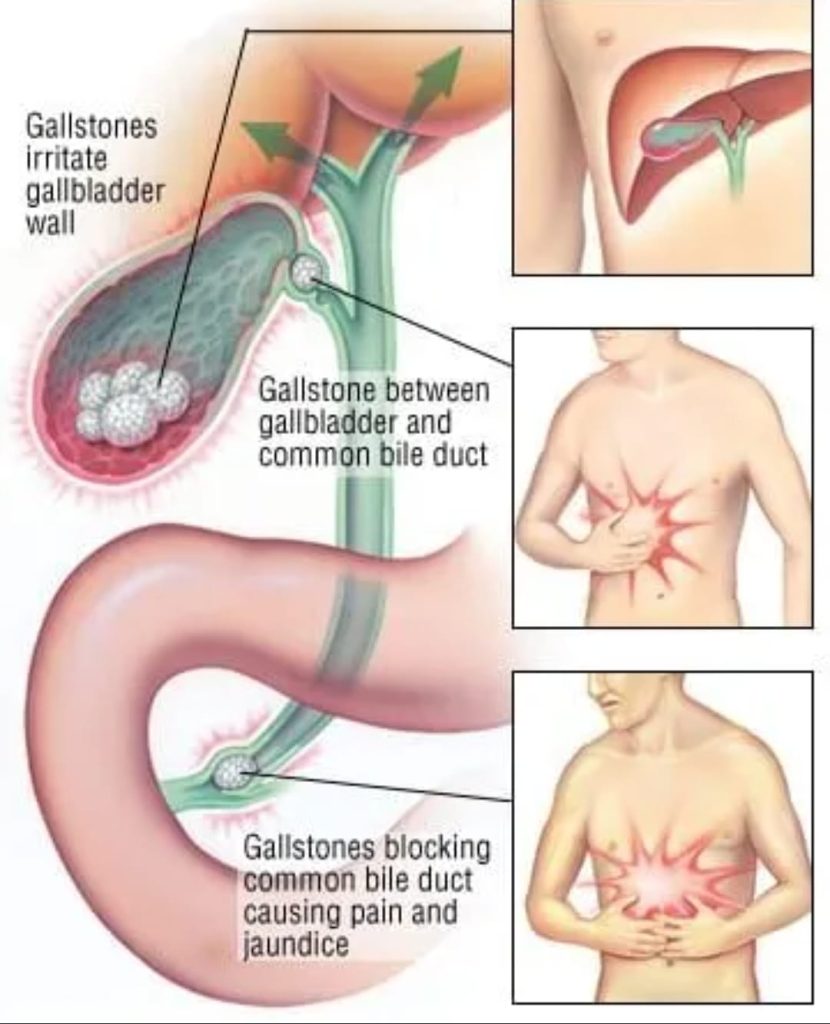 whatsapp image 2026 03 11 at 16.05.19 (1)