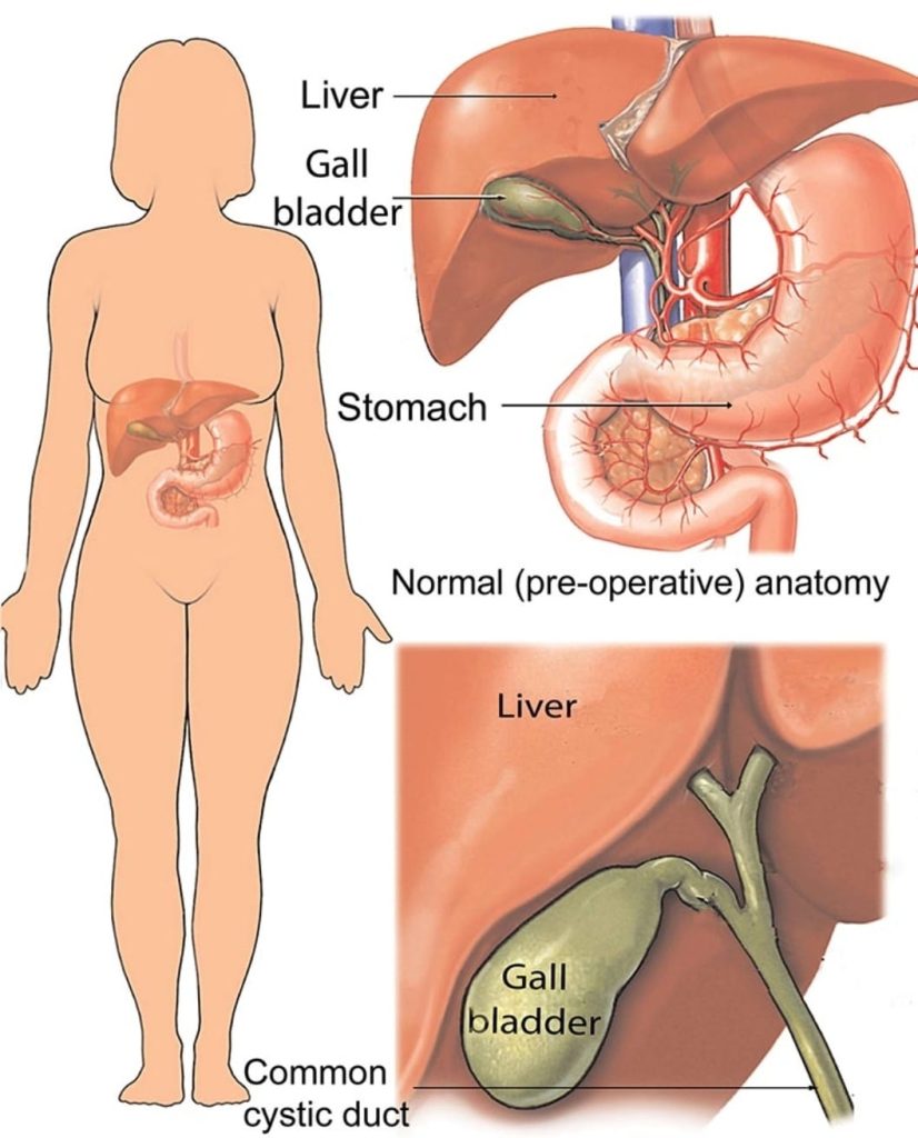 whatsapp image 2026 03 11 at 16.05.19