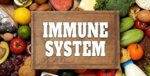 Immune System