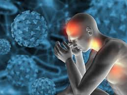 Anti-Inflammation